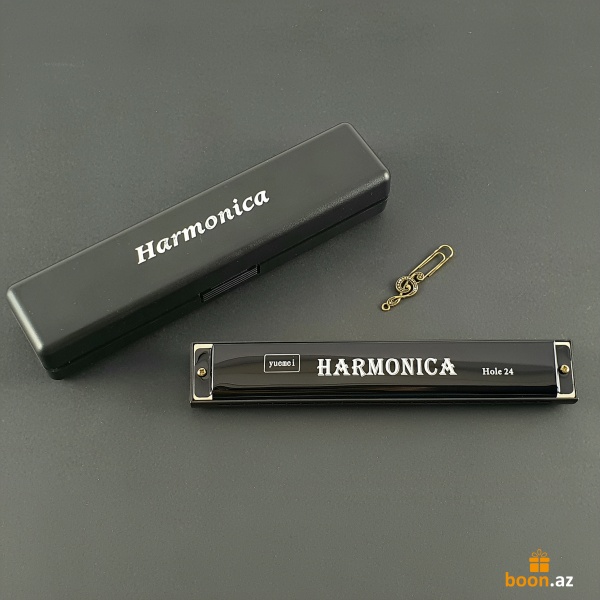 Губная гармошка "Harmonica" (17.6см) black